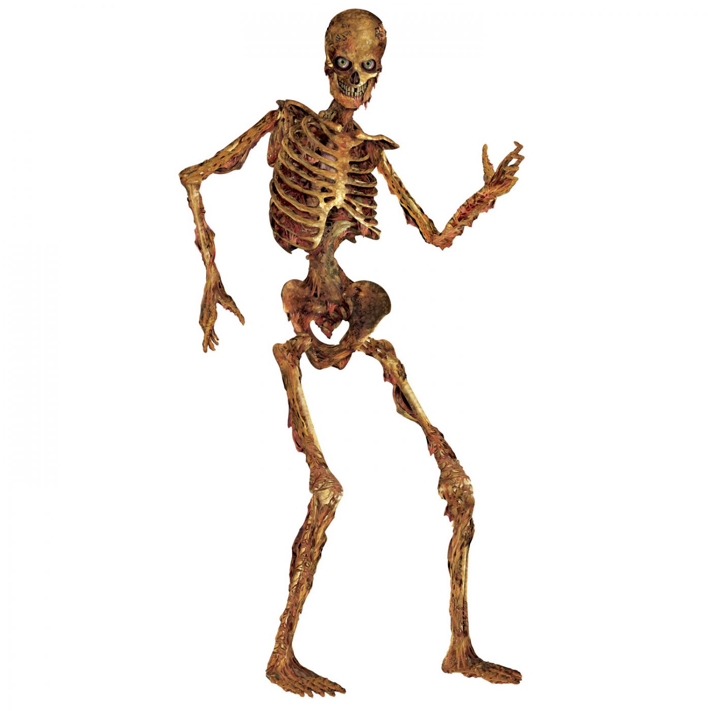 Jointed Skeleton (12) image