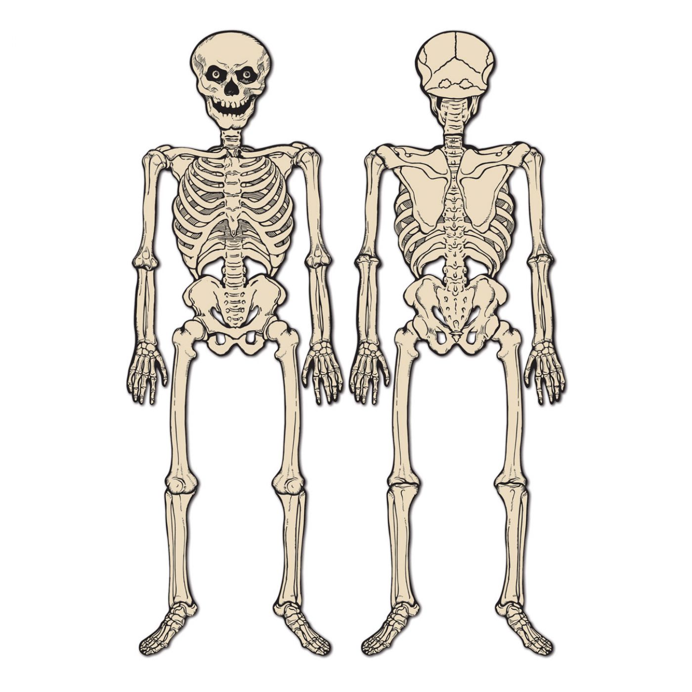 Vintage Halloween Jointed Skeleton (12) image