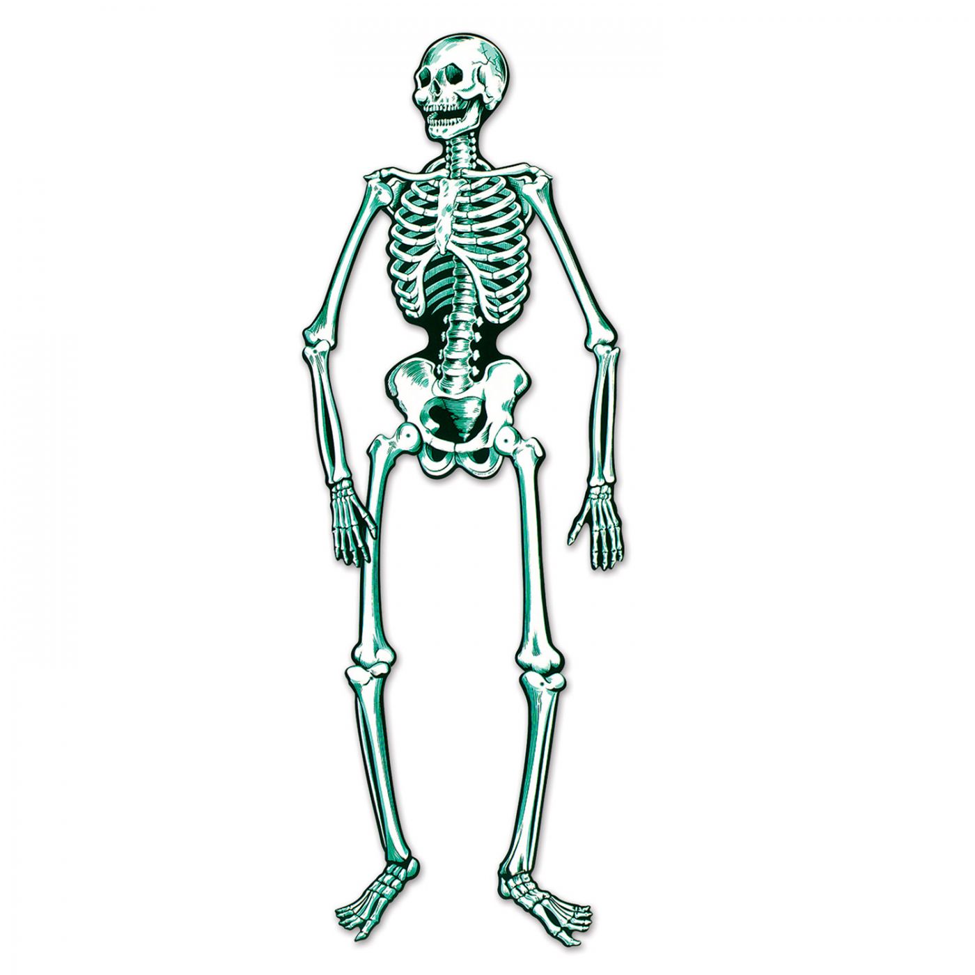 Jointed Skeleton image