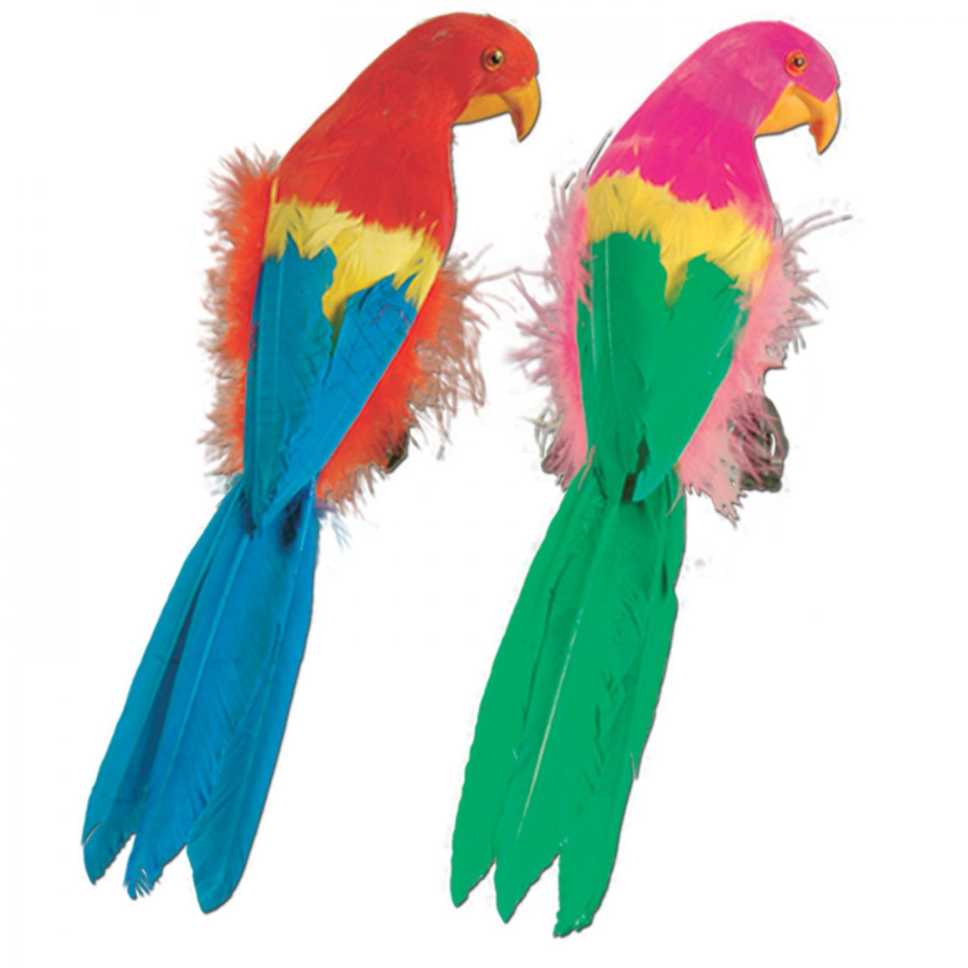 Feathered Parrots (6) image
