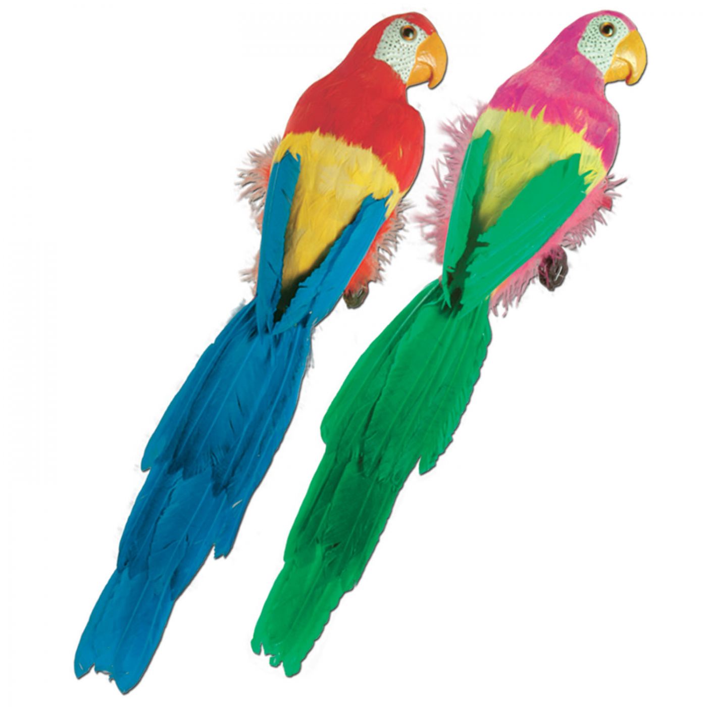 Feathered Parrots (6) image