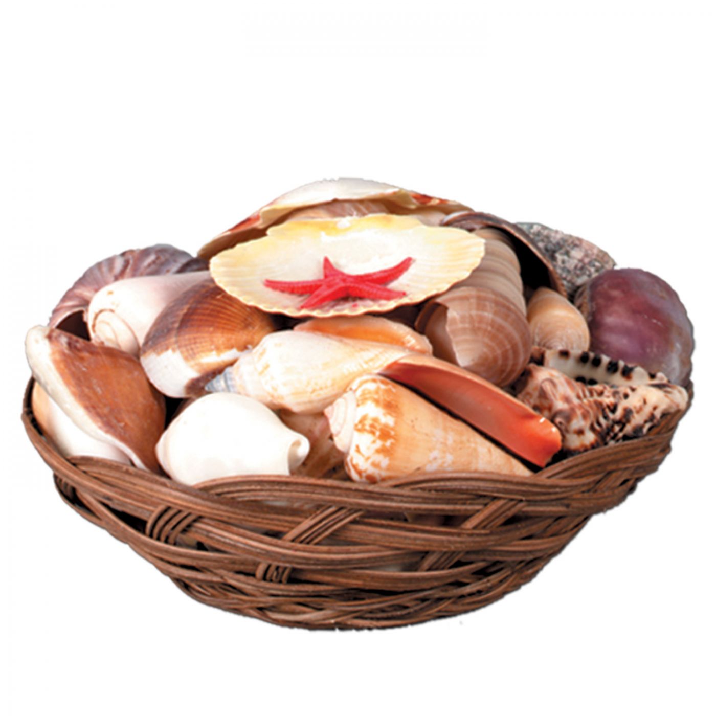 Shell Basket (6) image