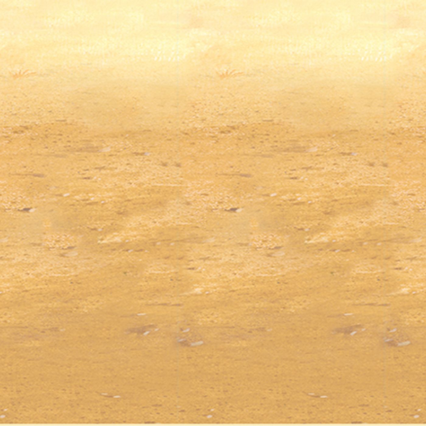 Desert Sand Backdrop (6) image