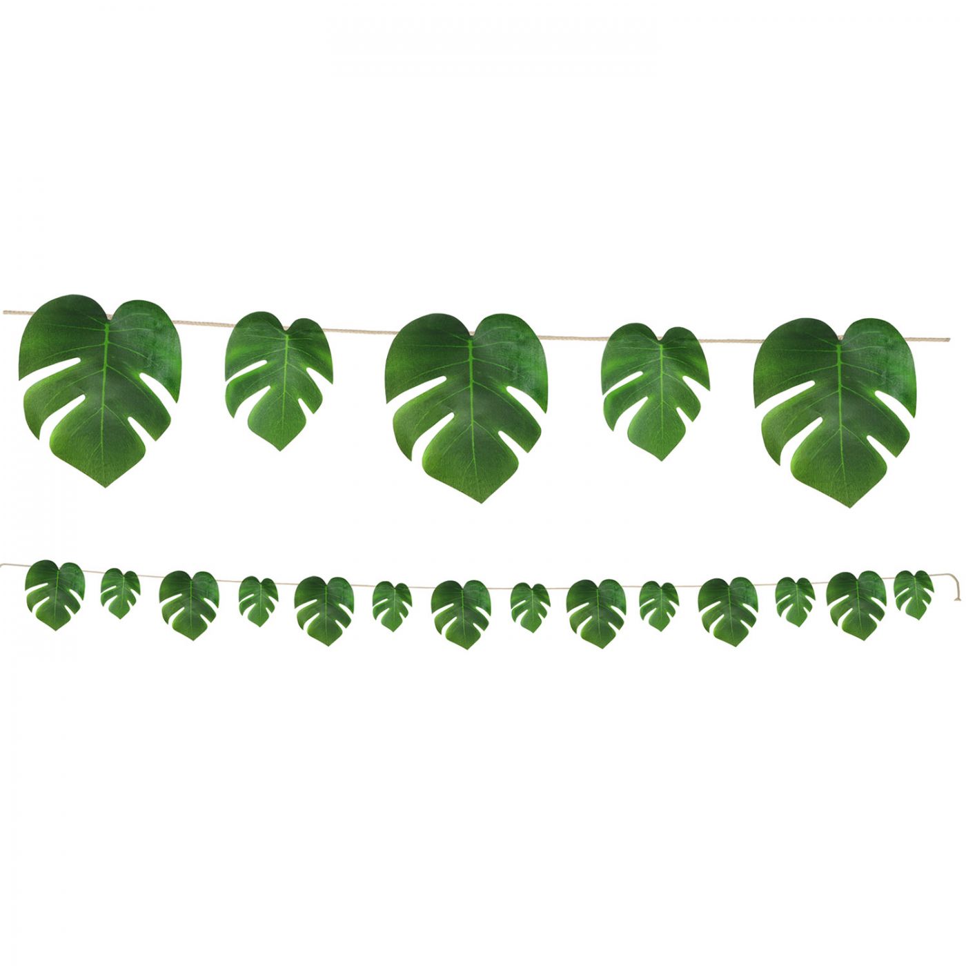 Tropical Palm Leaves Streamer image