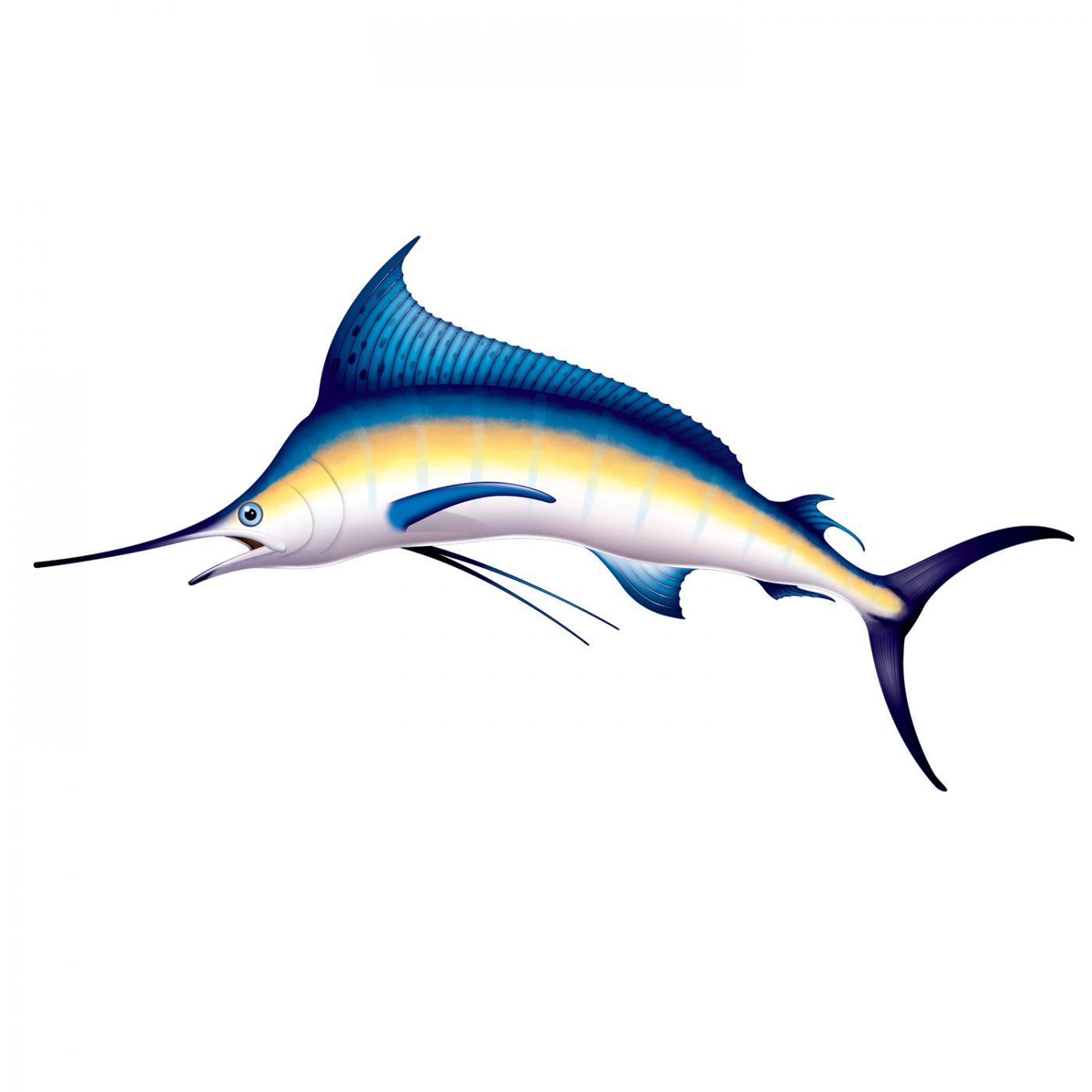 Marlin Prop (6) image