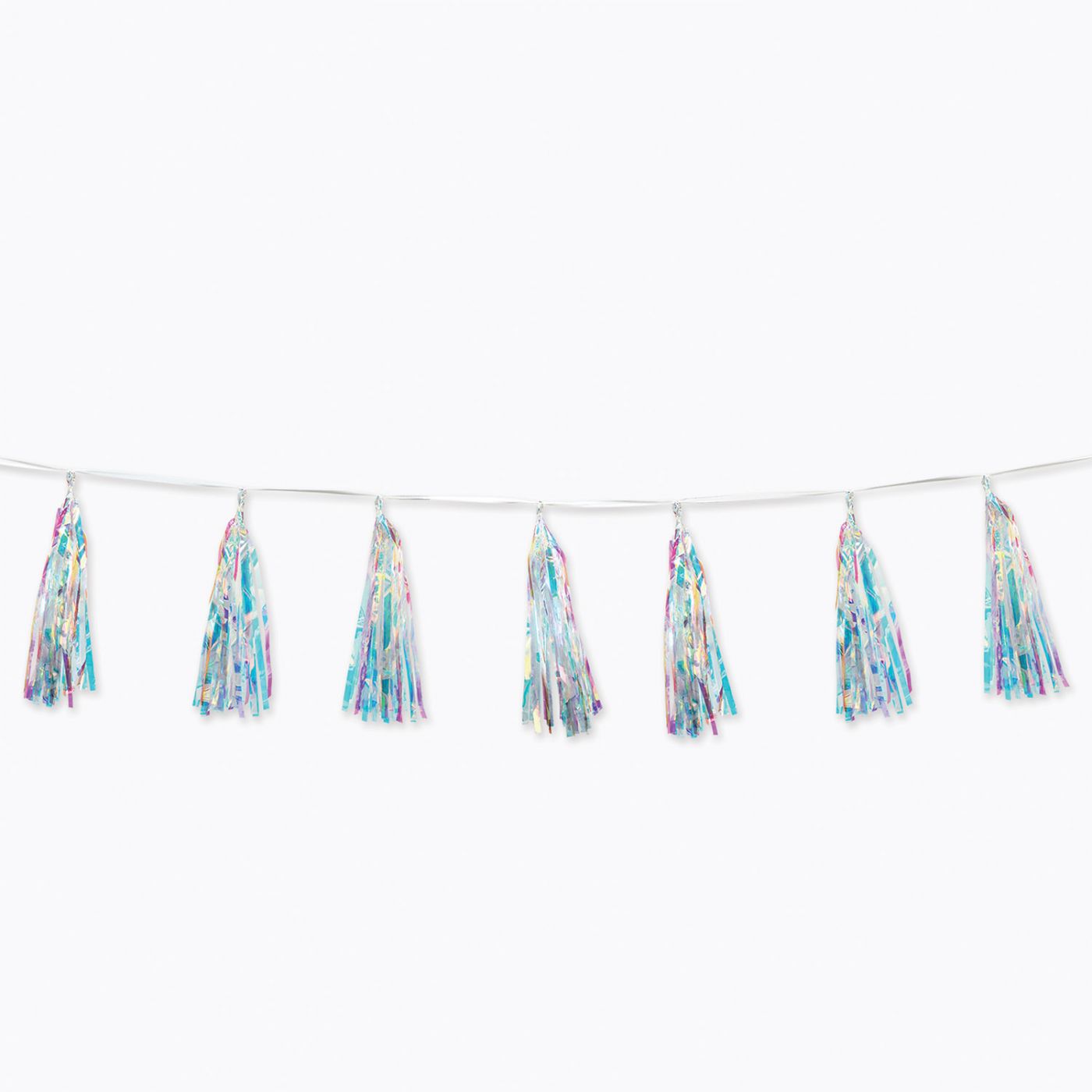 Iridescent Tassel Garland (6) image