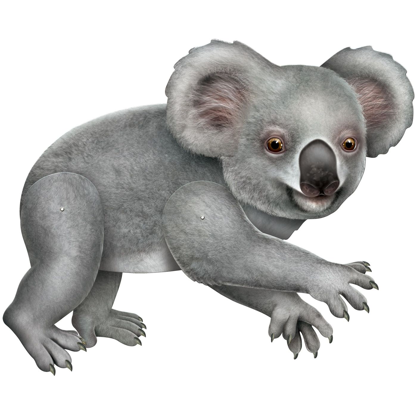 Jointed Koala (12) image