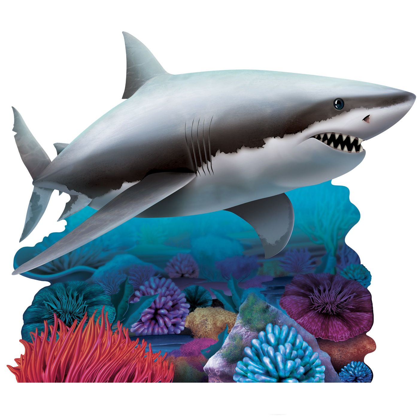 Shark Stand-Up (4) image
