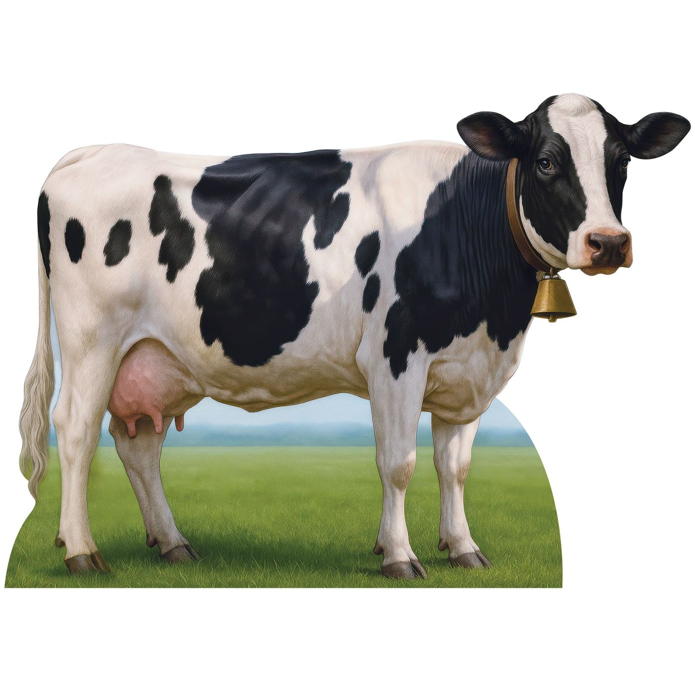 Cow Stand-Up (4) image