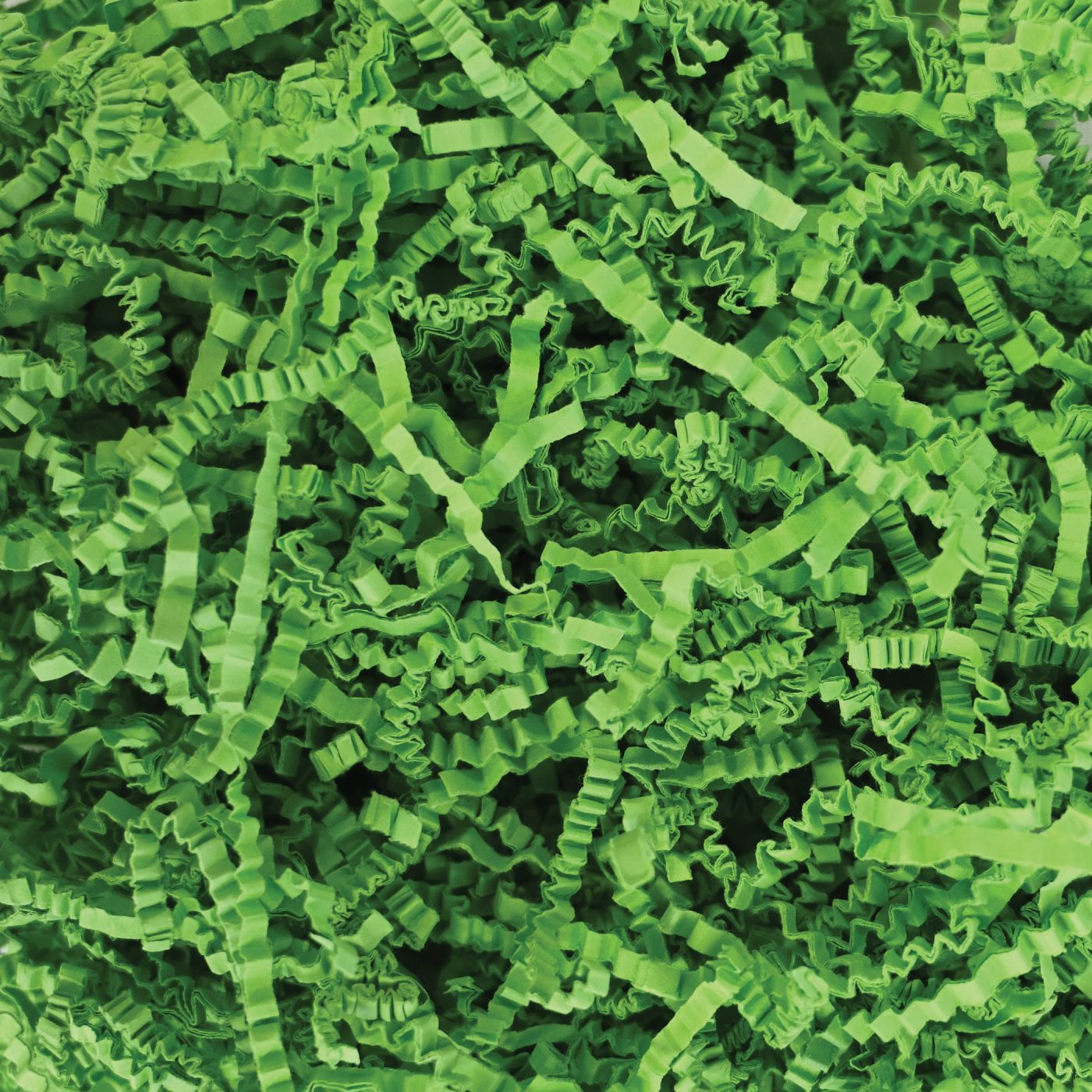 Paper Shreds (12) image