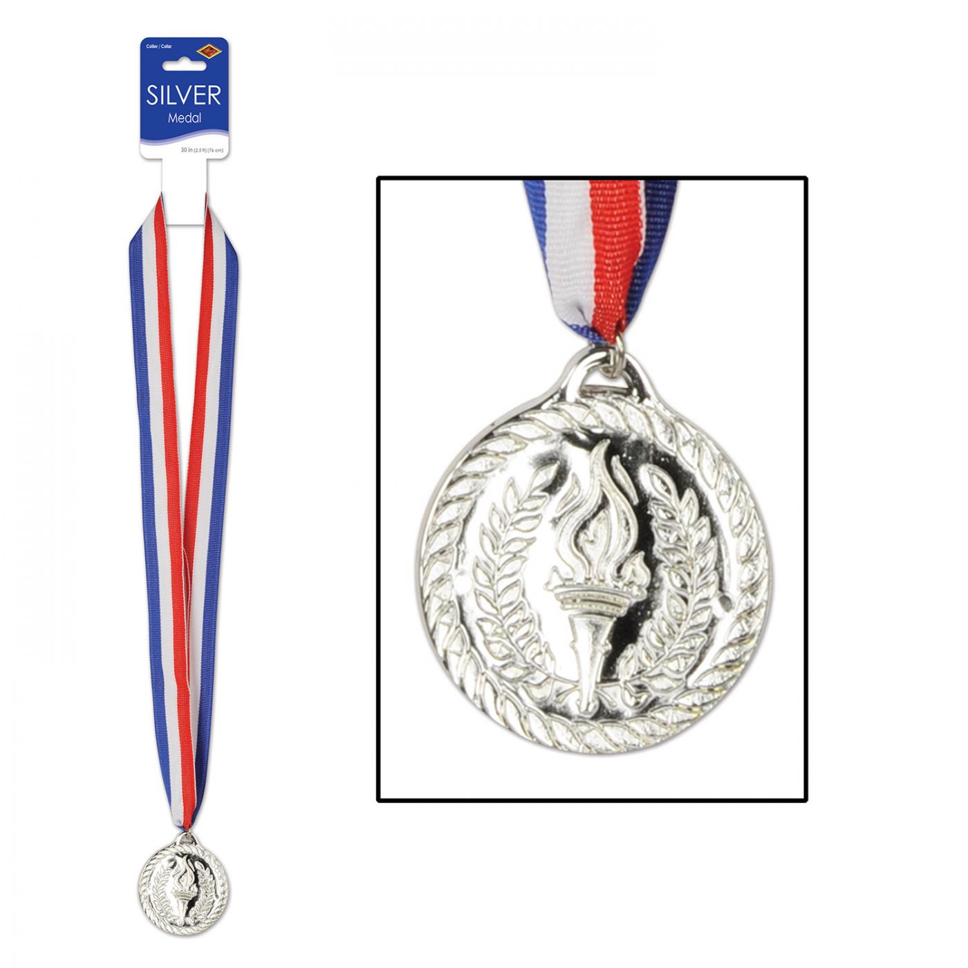 Silver Medal w/Ribbon image
